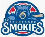 Tennessee Smokies website